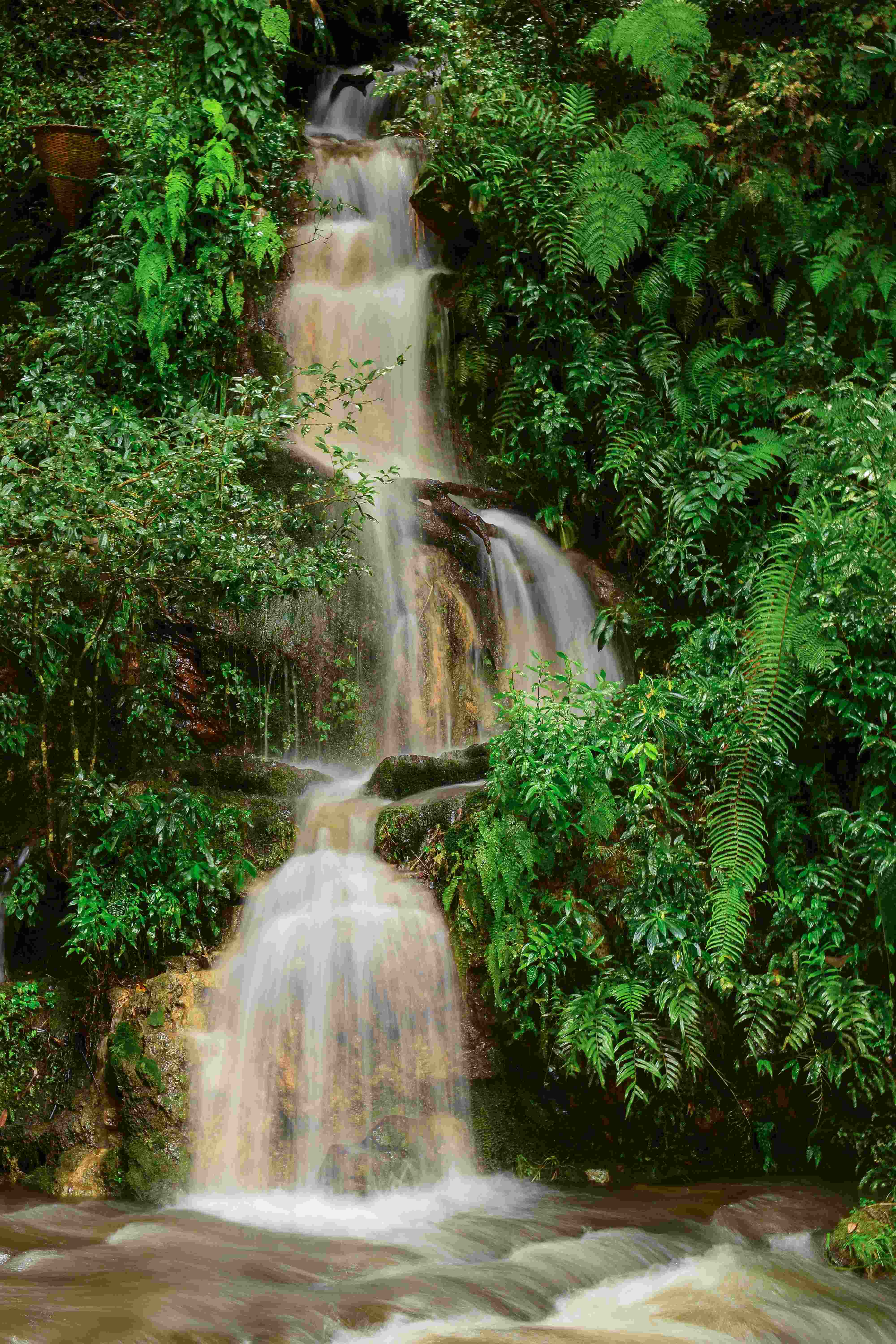 Unveil the Mystical Northeast: 5-Day Shillong and Cherrapunjee Escapade